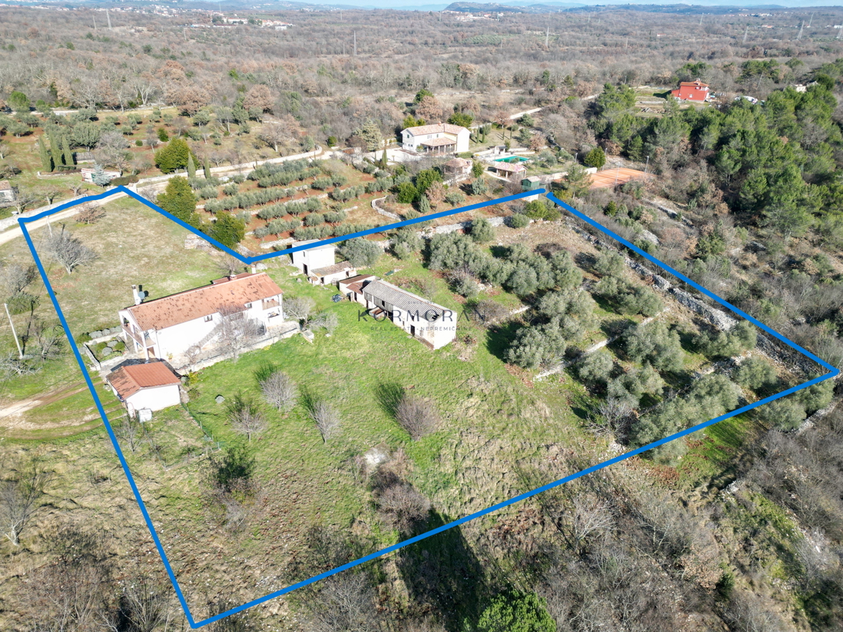 iša z velikim potencialom v bližini Buja