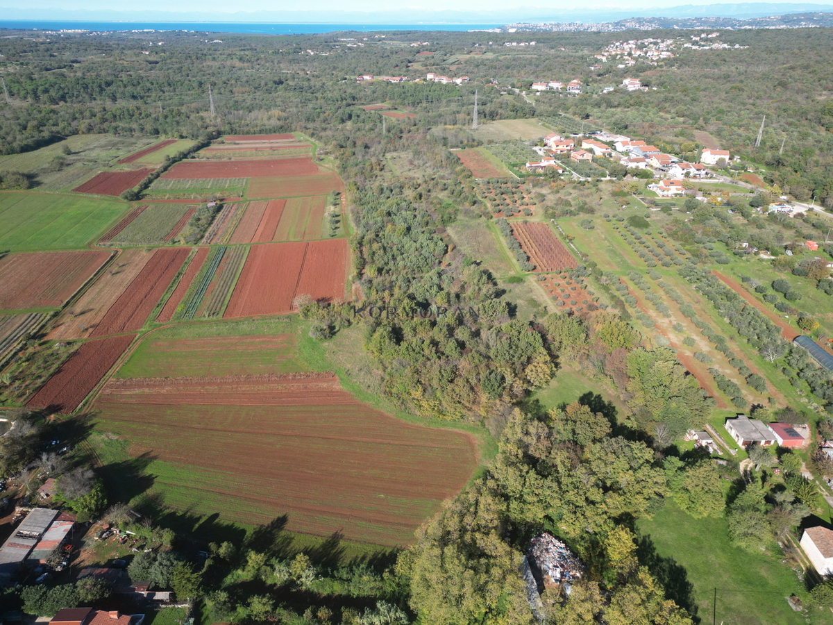 Kmetijsko zemljište