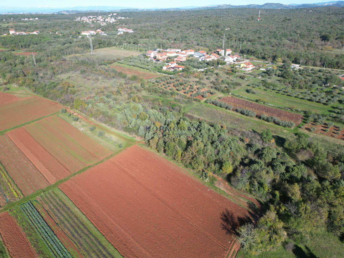 Kmetijsko zemljište