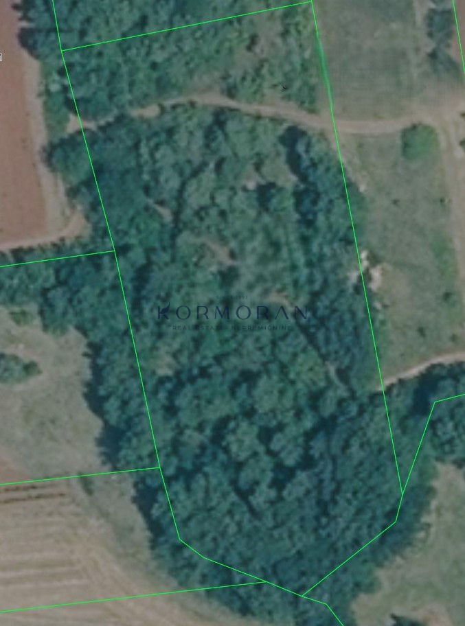 Kmetijsko zemljište