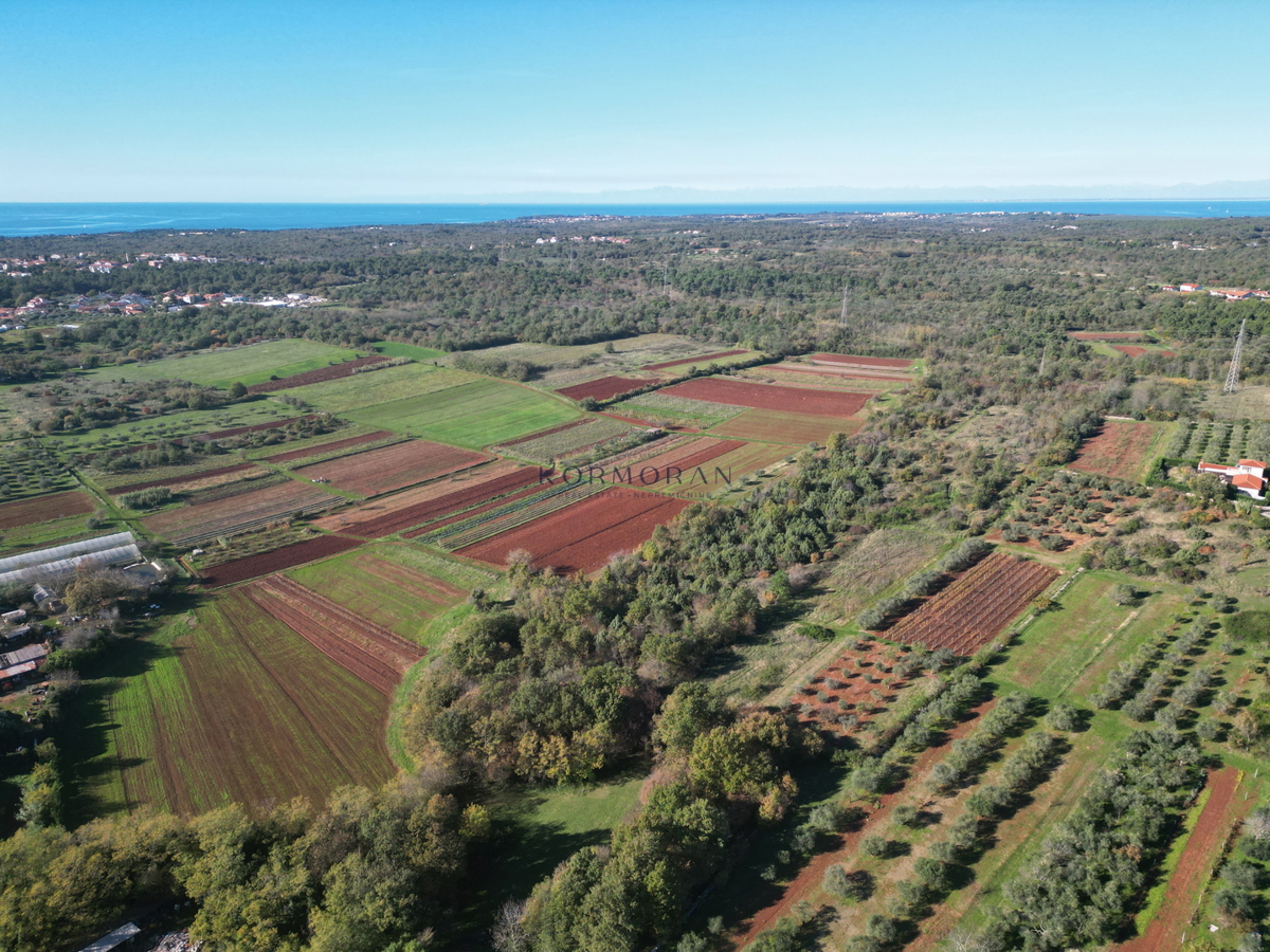 Kmetijsko zemljište