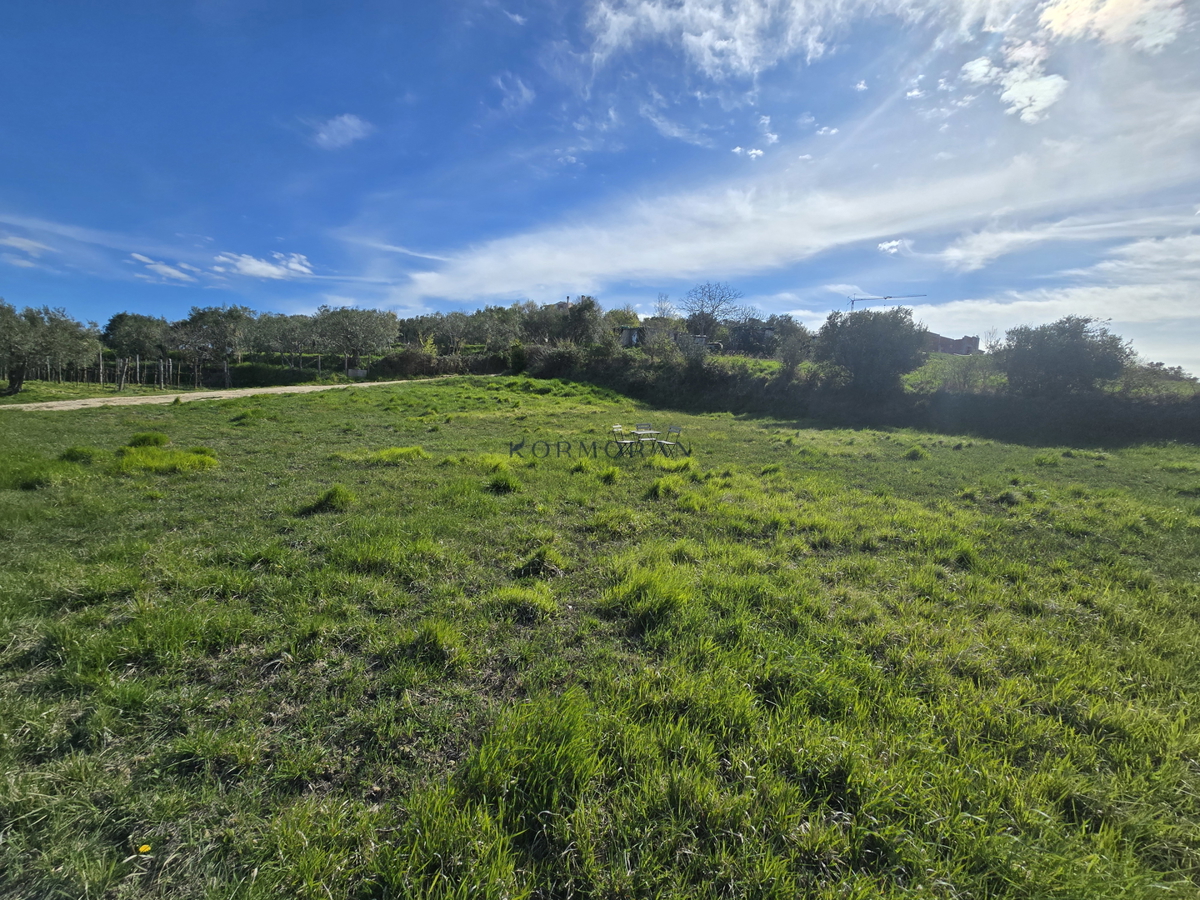 Zemljišče v Bujama