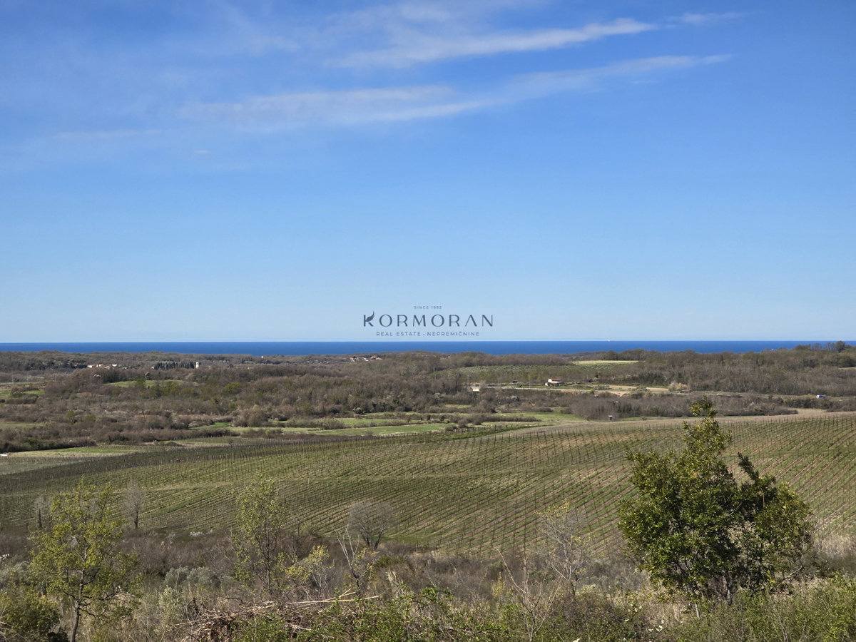 Zemljišče v Bujama