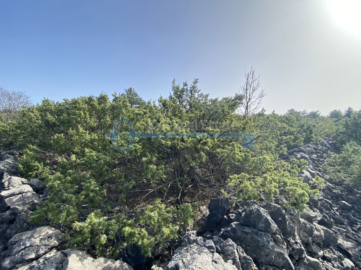 Zemljišče Punat, 3.747m2