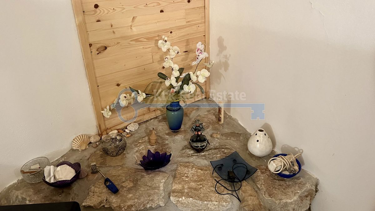 POLJE - KAMNITA HIŠA Z DODATNIM STANOVANJEM IN VRTOM