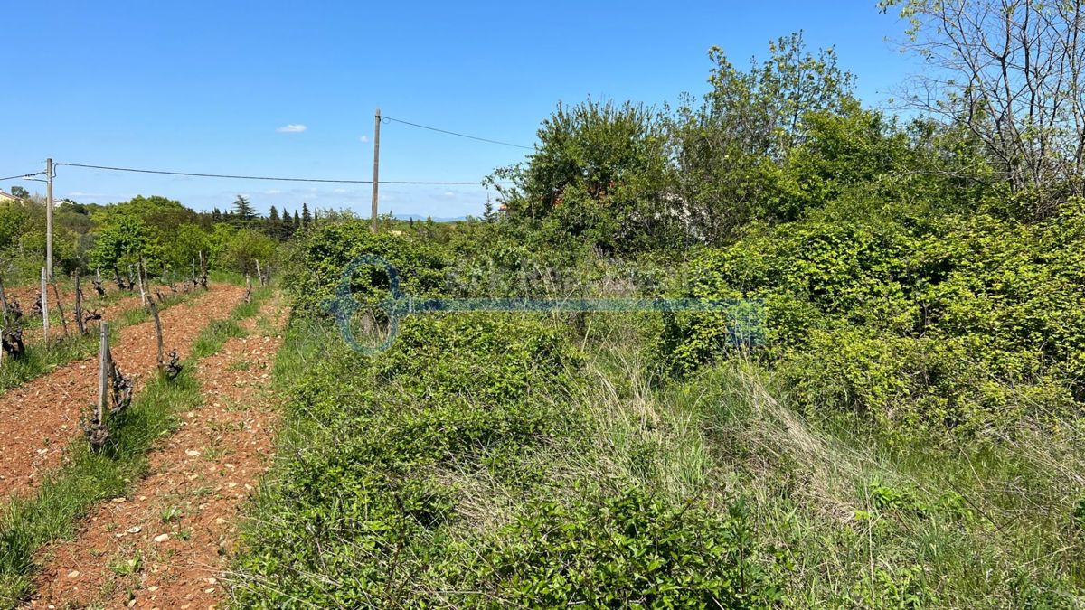 Zemljišče Vrh, Krk, 1.412m2