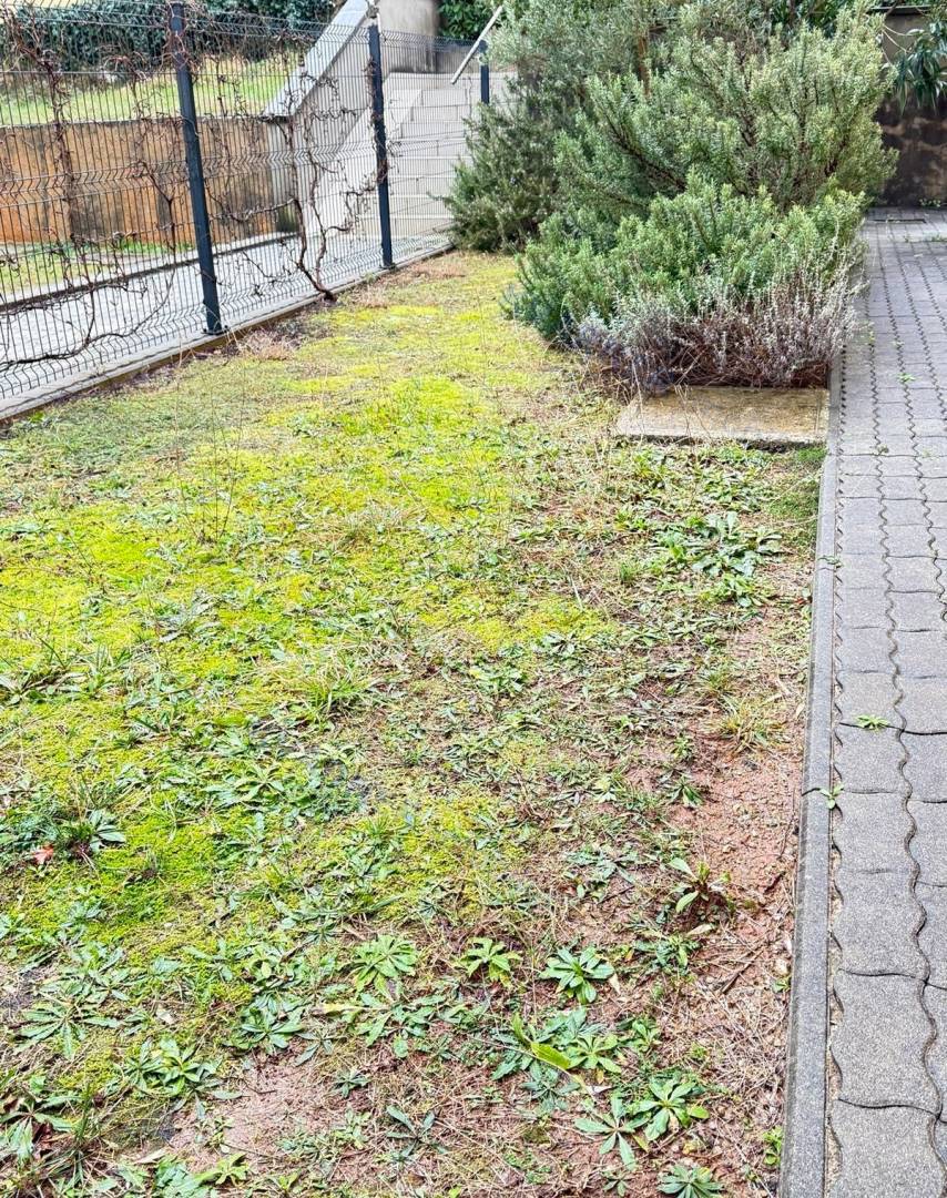 Uvala Soline - pritlični apartma z vrtom