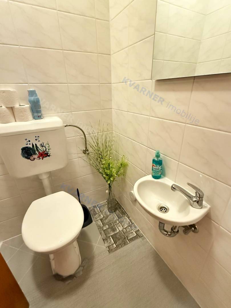 Uvala Soline - pritlični apartma z vrtom