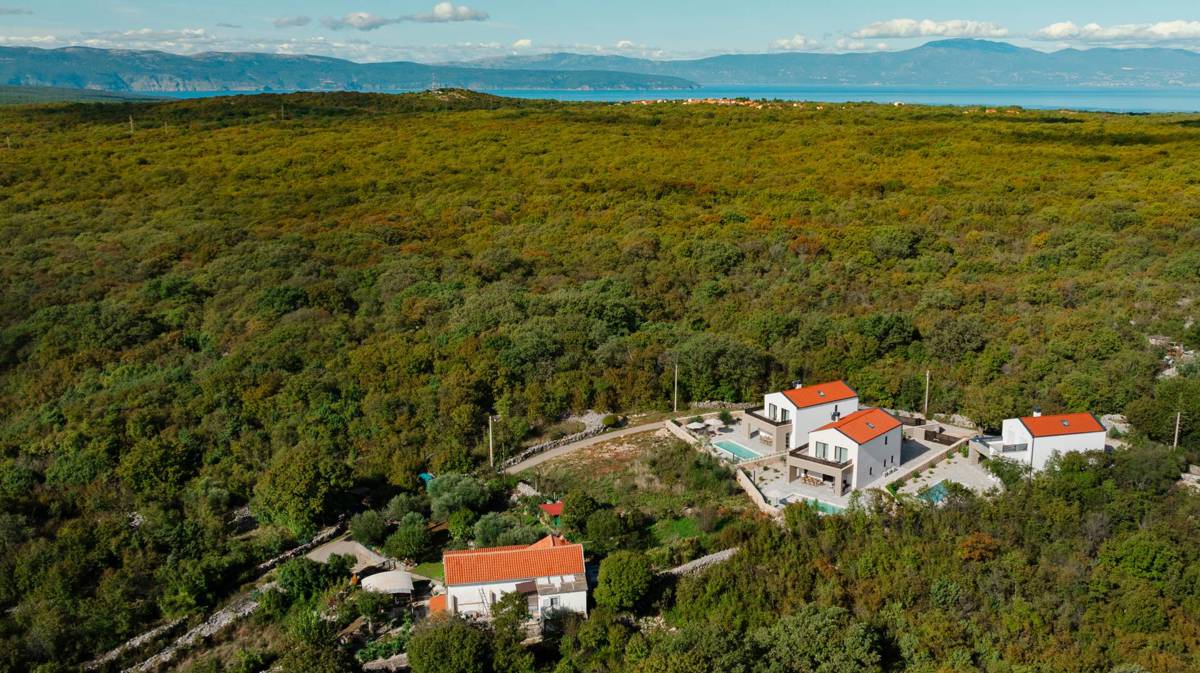 Moderen in opremljen vila z bazenom in vrtom - naprodaj!