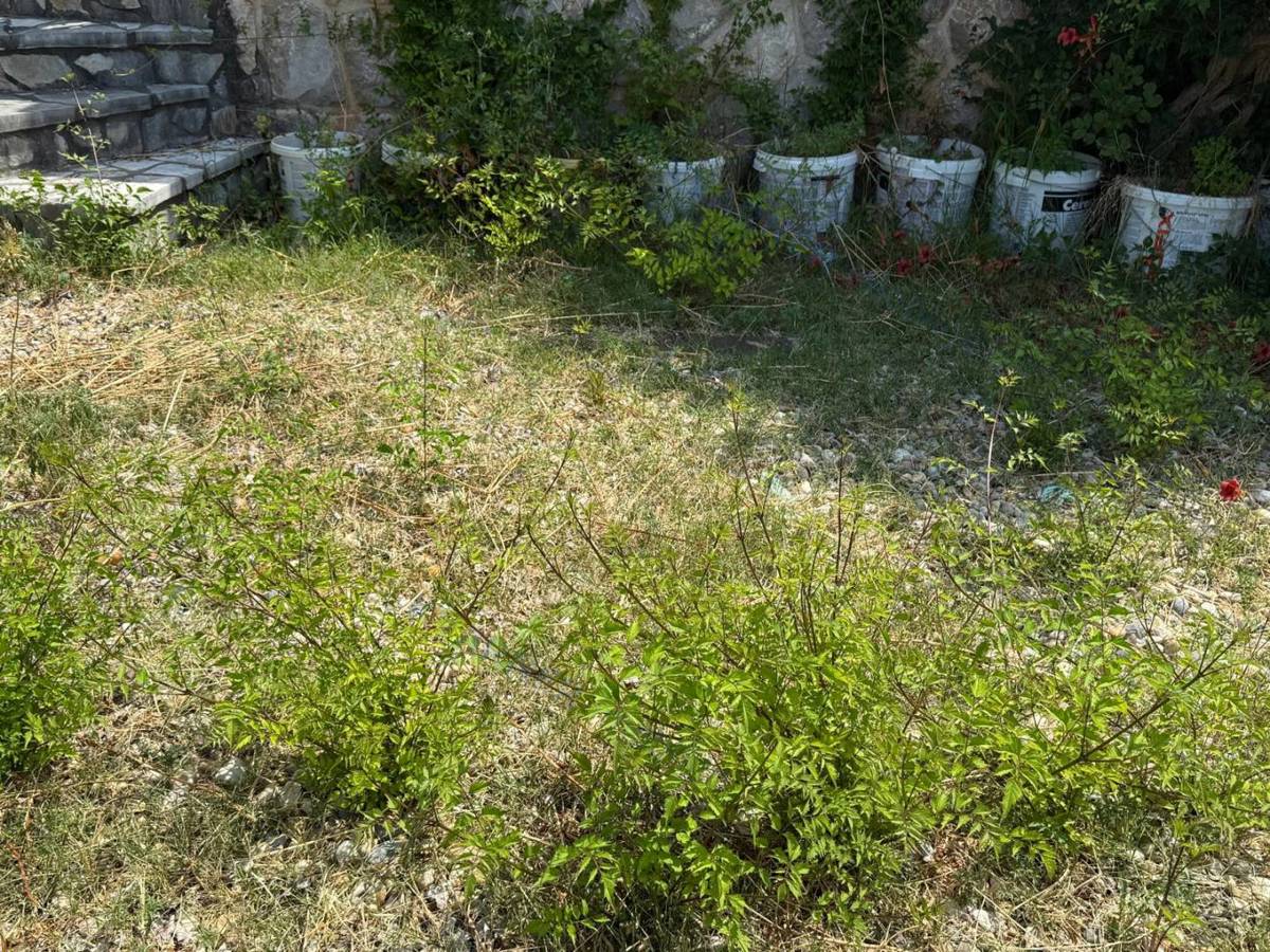 Malinska - hiša z 2 apartmajema in pogledom na morje