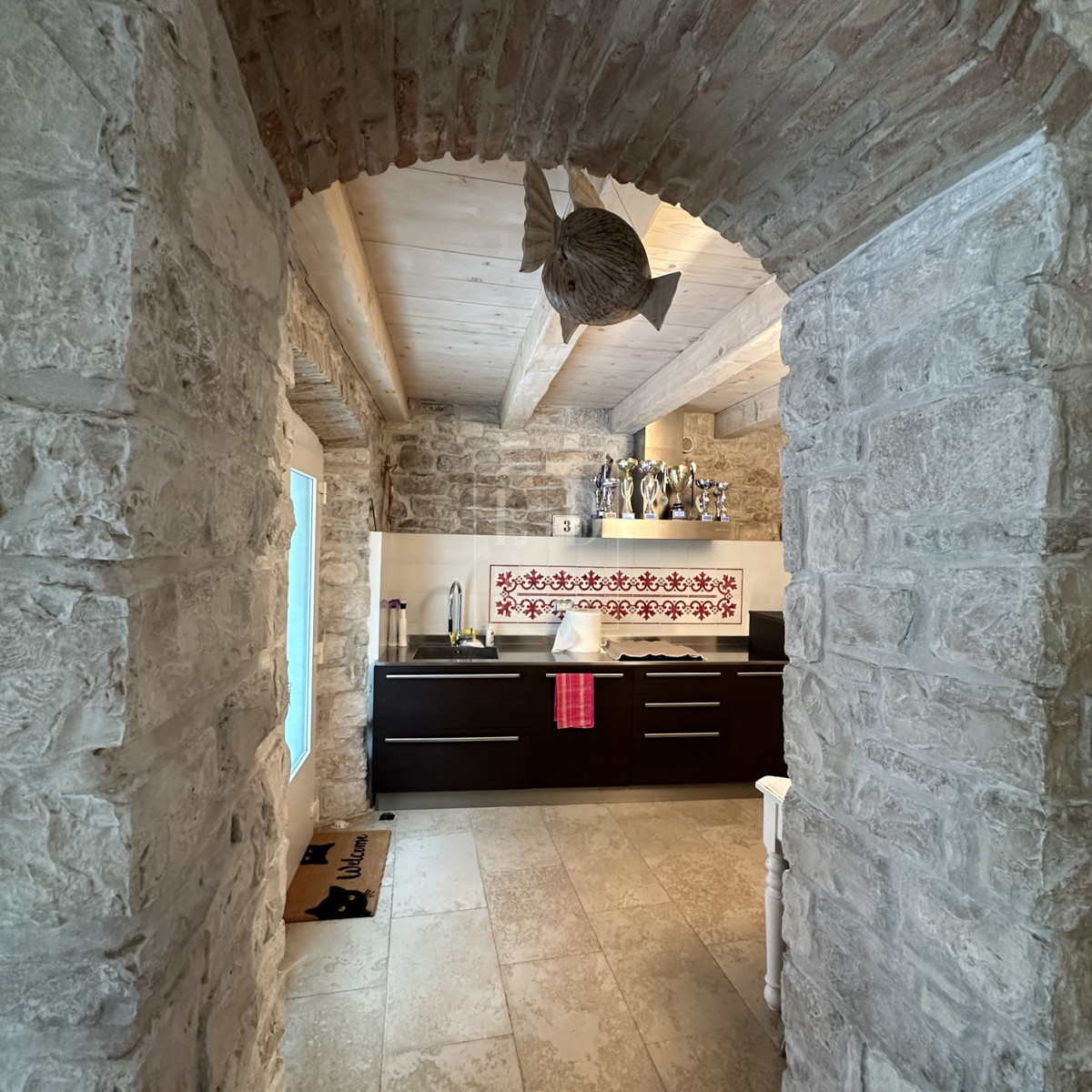 Hiža v centru Novigrada