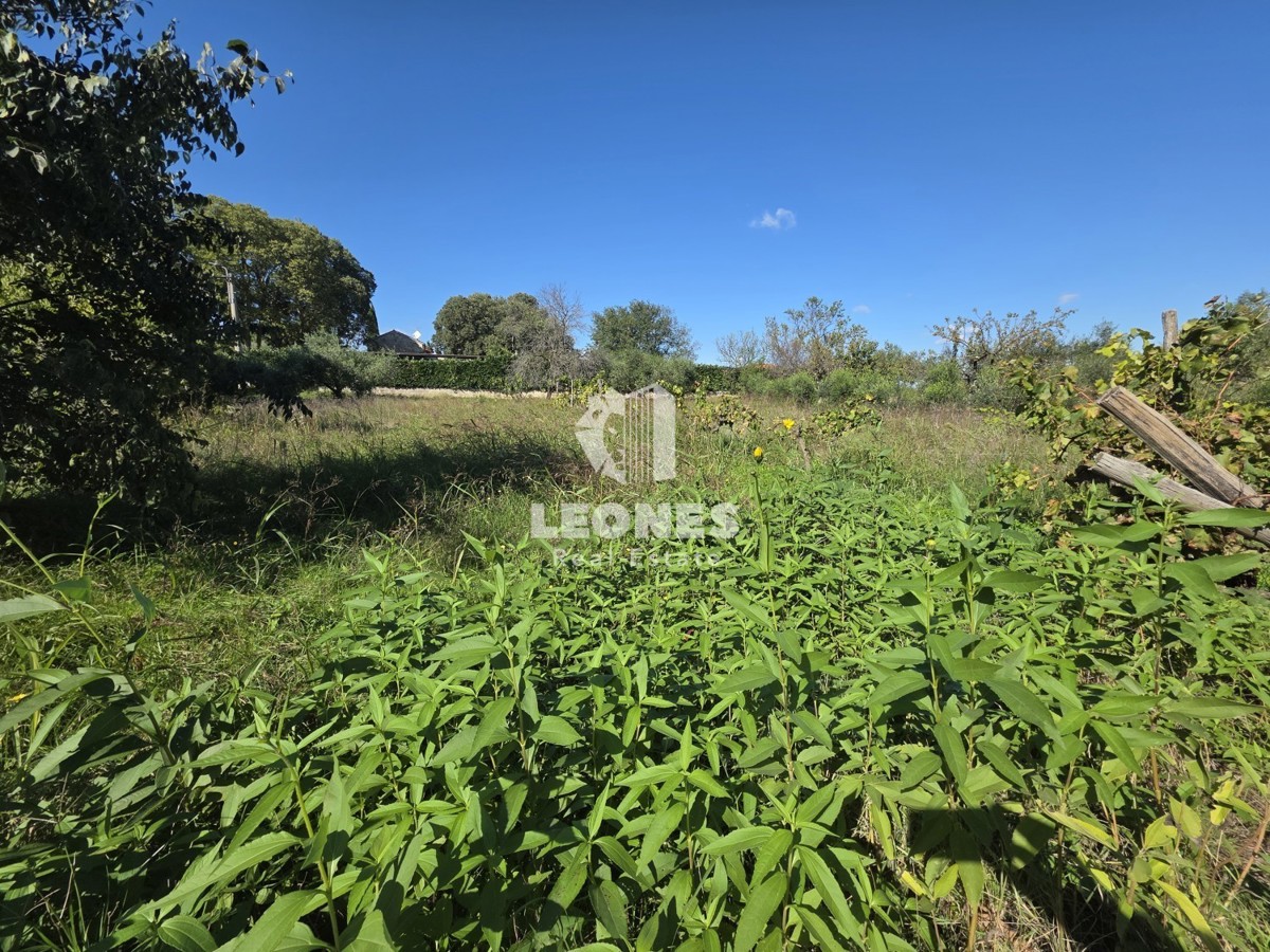 Gradbeno zemljišče v bližini Buja