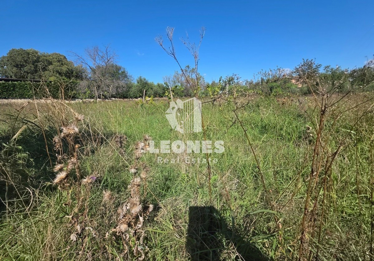 Gradbeno zemljišče v bližini Buja