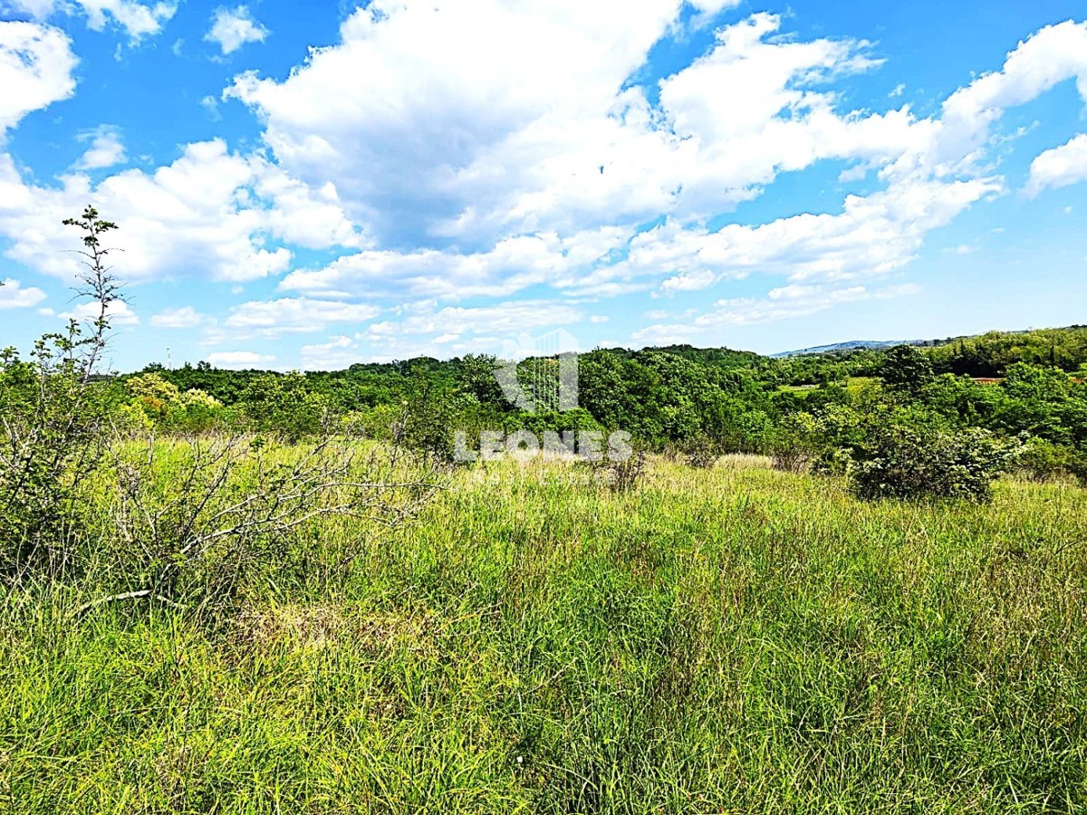 Kmetijsko zemljišče v bližini Umaga