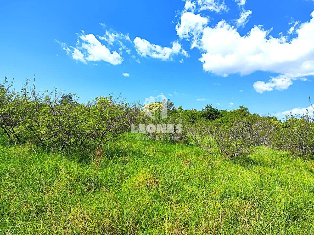 Kmetijsko zemljišče v bližini Umaga