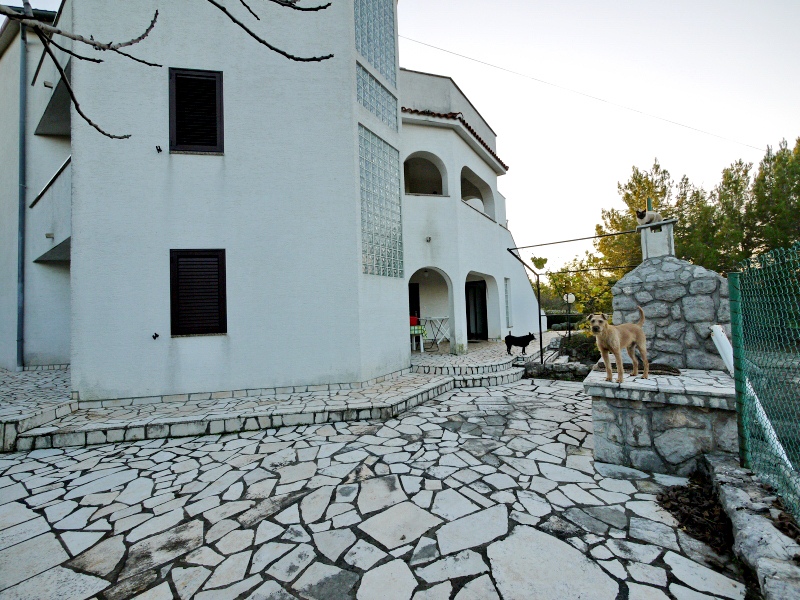 Otok Krk, Dobrinj. Samostojna hiša z velikim vrtom.
