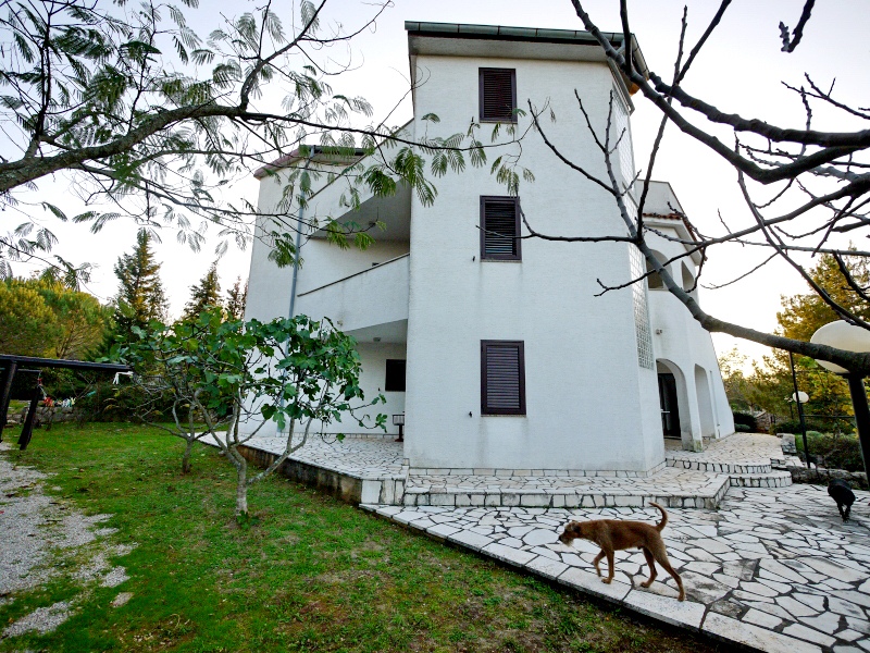 Otok Krk, Dobrinj. Samostojna hiša z velikim vrtom.
