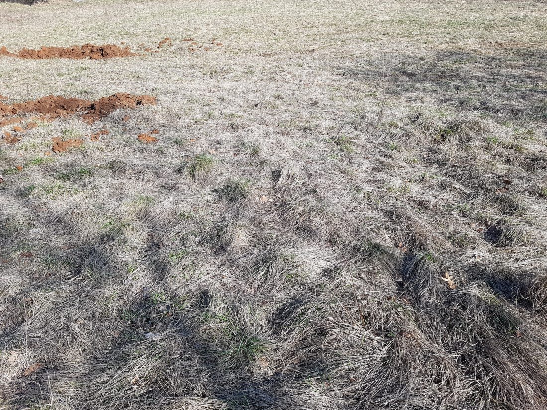 Labin. Kmetijsko zemljišče v izmeri 5.500 m2.