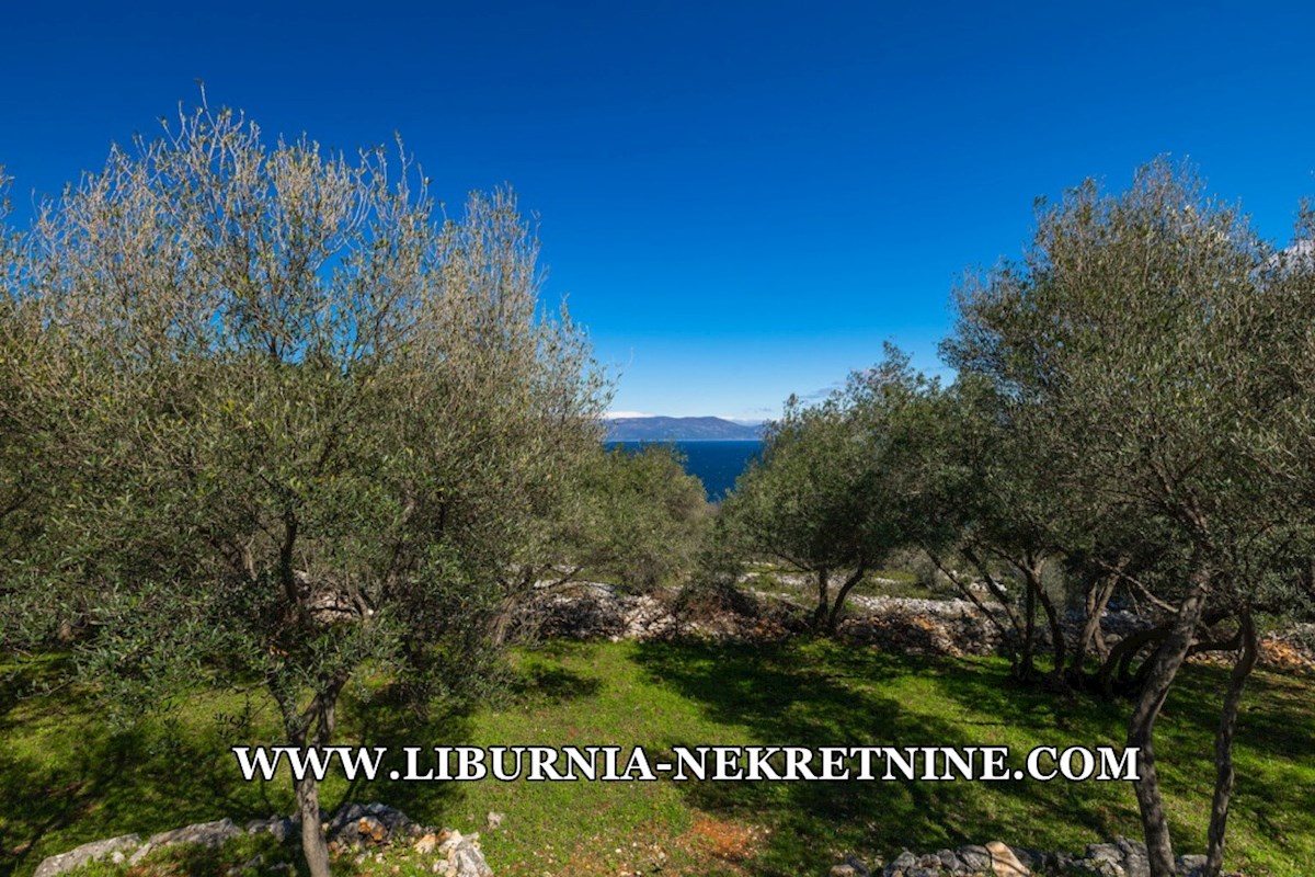 Istra, neposredna bližina Labina. Vila z bazenom, 500 metrov od morja.
