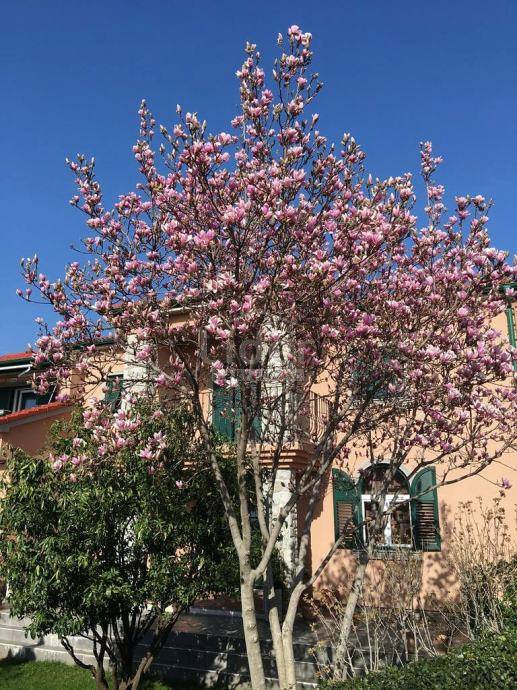 Hiša Kostrena, 214m2