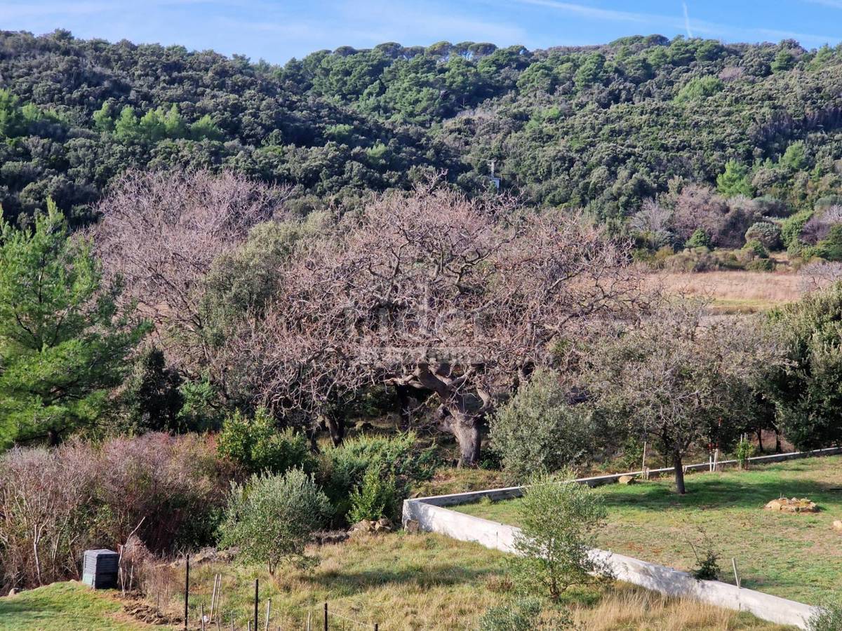 Stanovanje Palit, 68m2