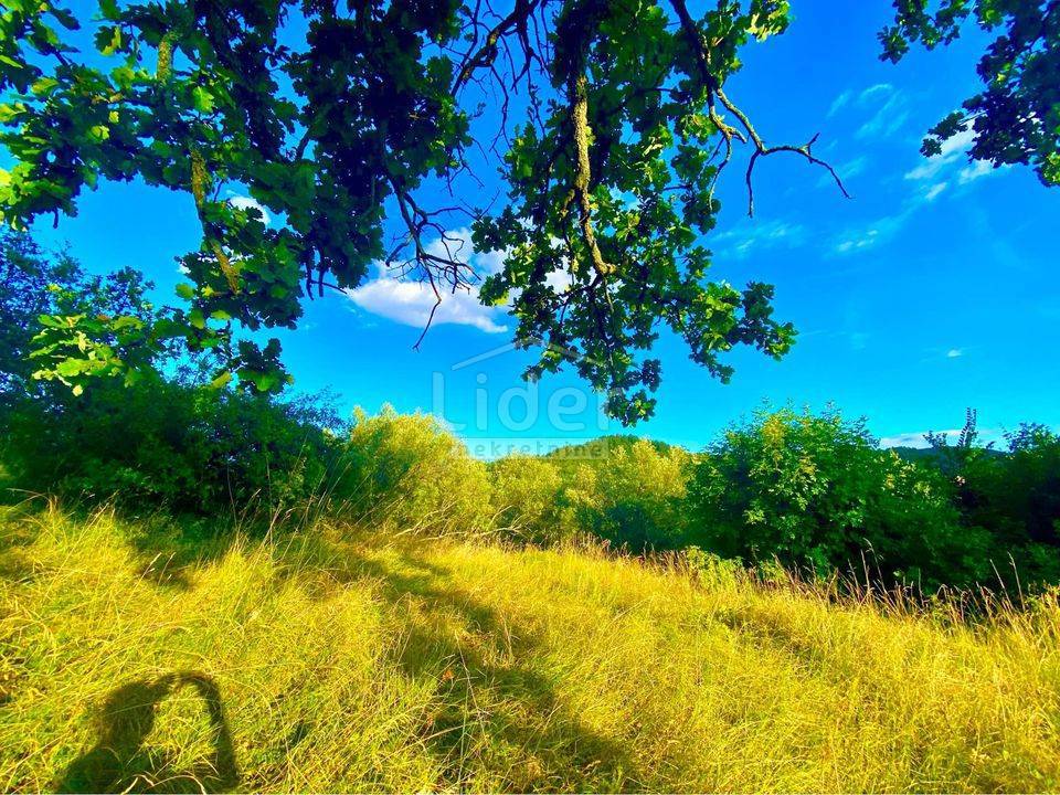 Zemljišče Draguć, 2257m2