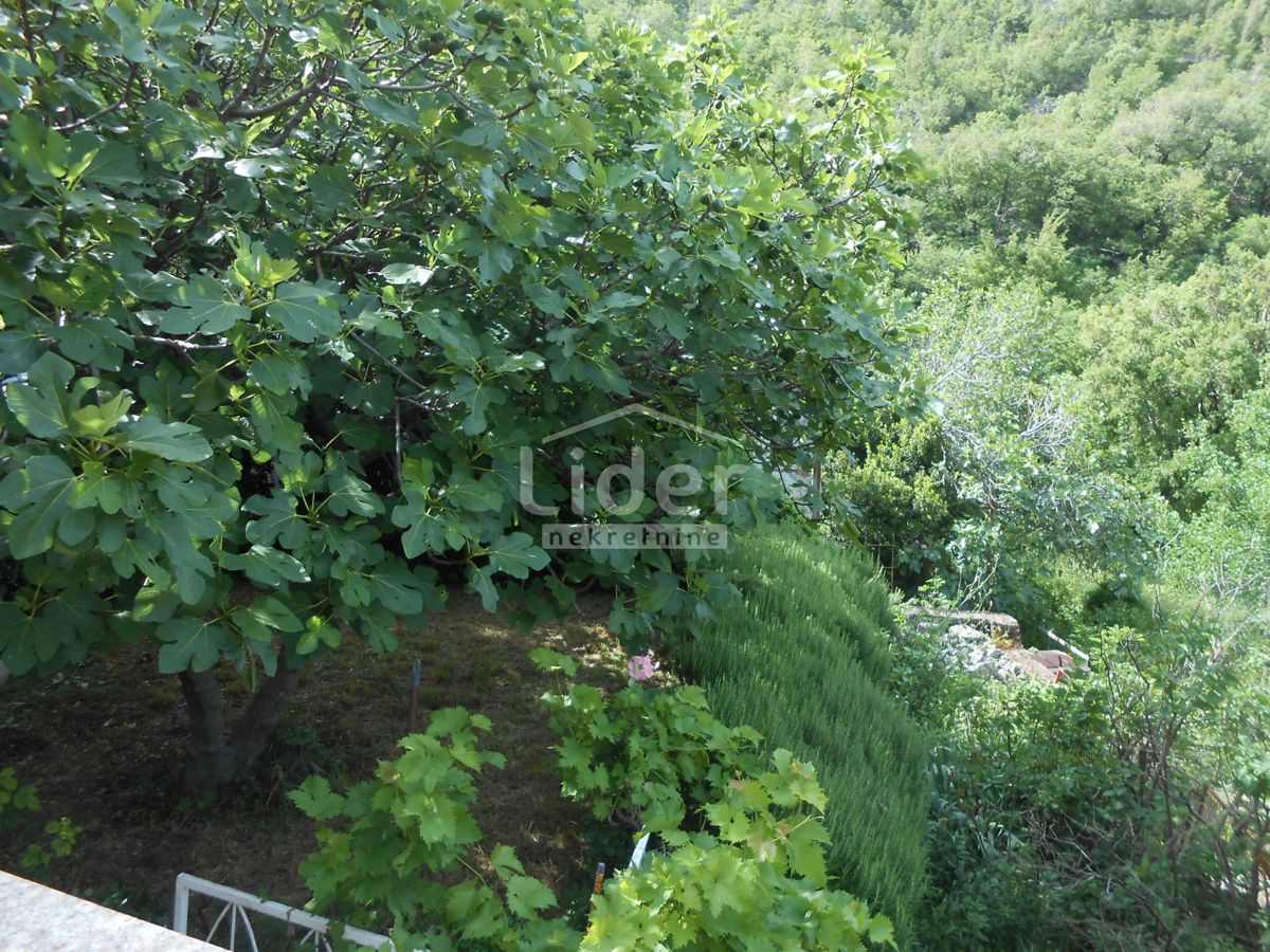 Apartma Bunica-biličevica, 95m2