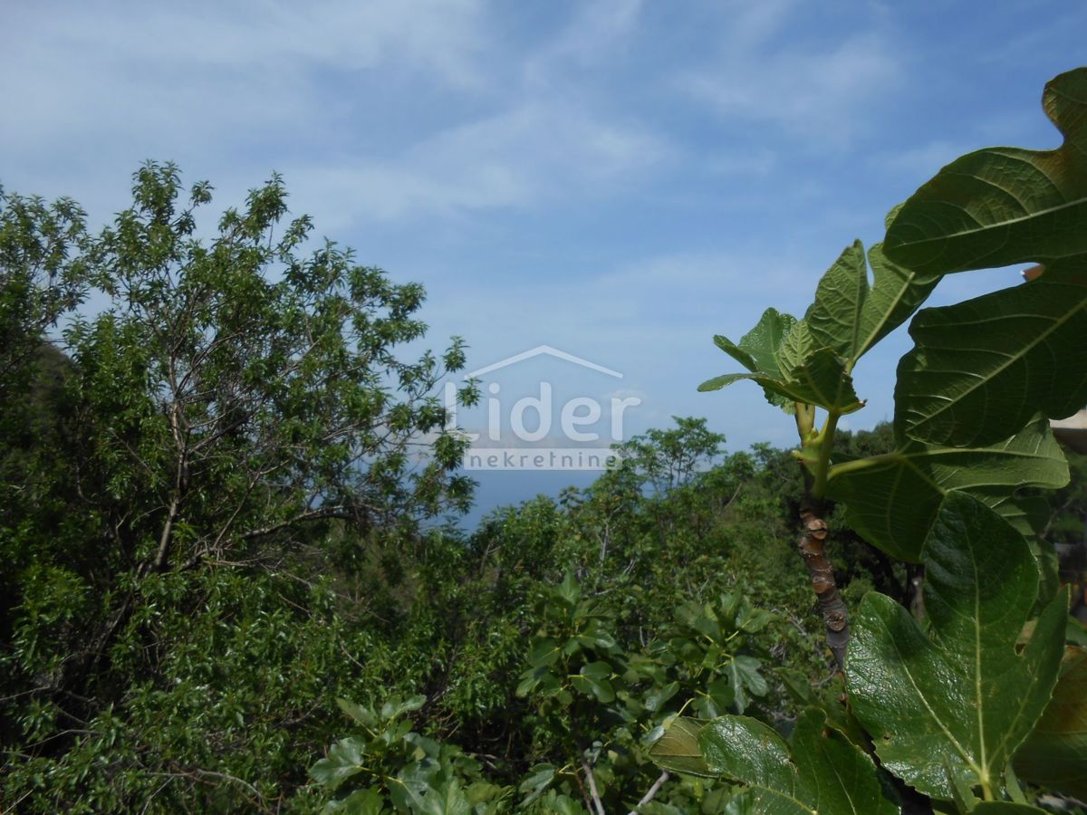 Apartma Bunica-biličevica, 95m2