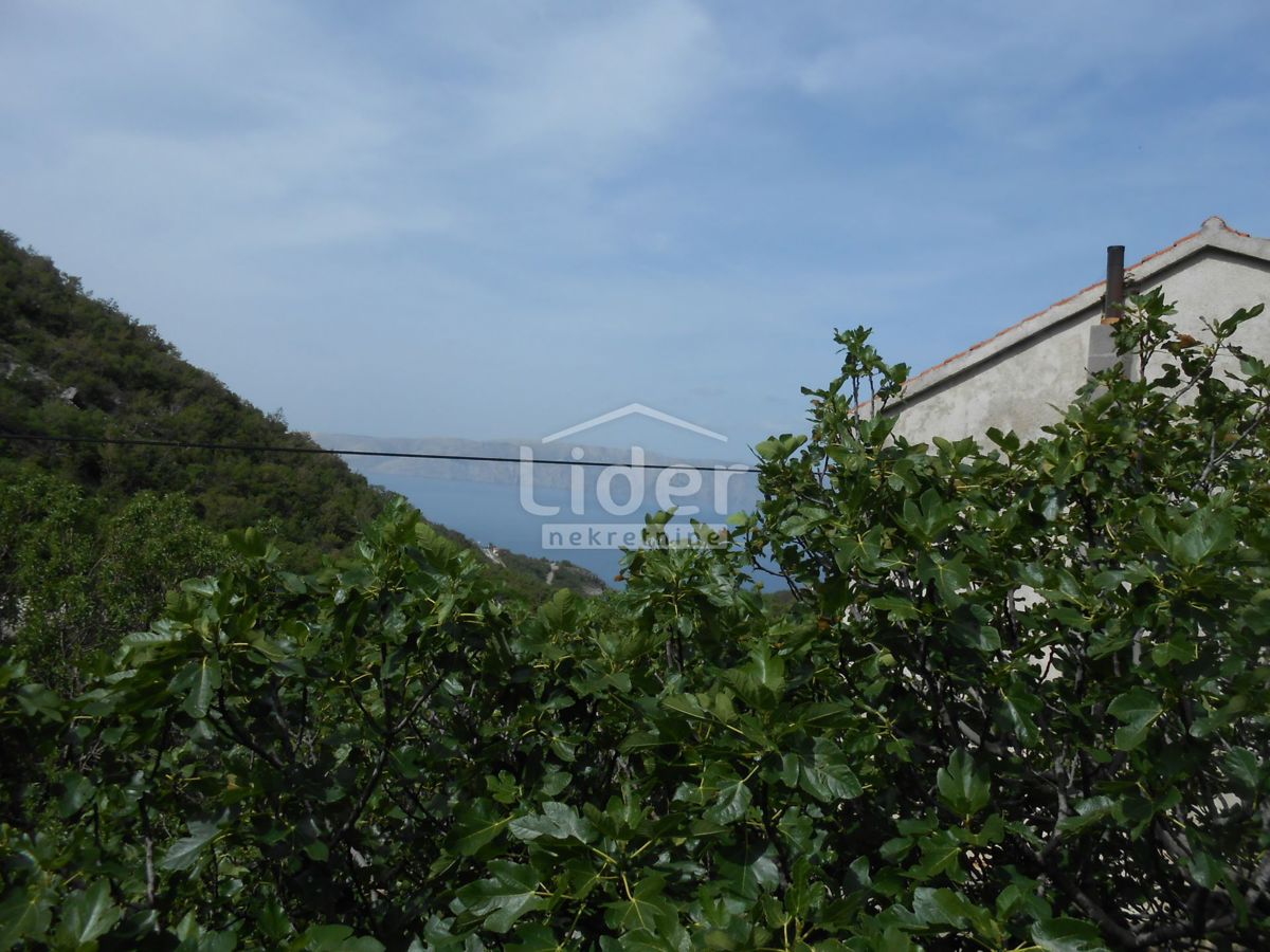 Apartma Bunica-biličevica, 95m2