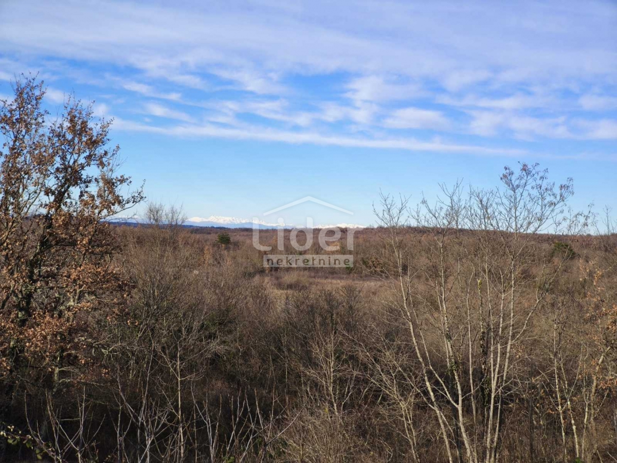 Zemljišče Buje, 1765m2