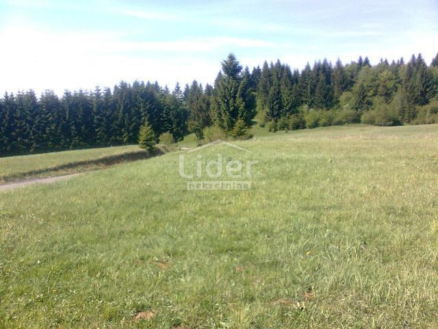 Zemljišče Ravna Gora, 4193m2