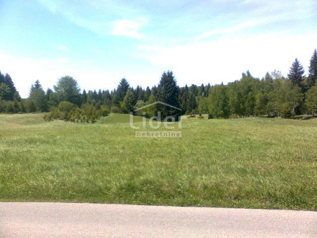 Zemljišče Ravna Gora, 4193m2