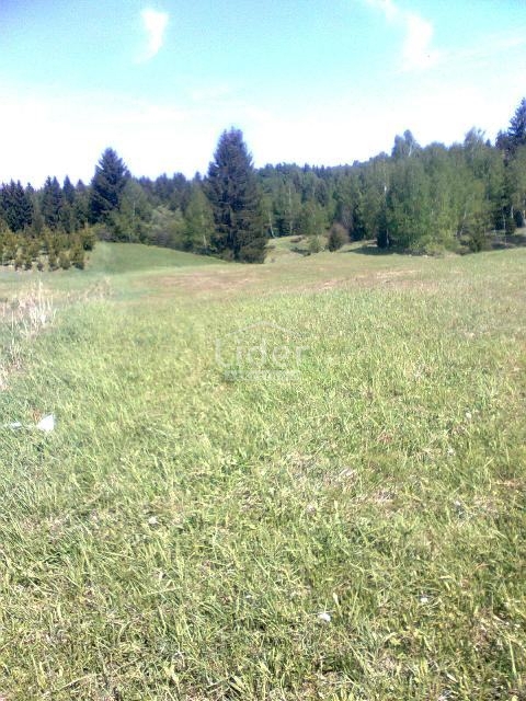 Zemljišče Ravna Gora, 4193m2