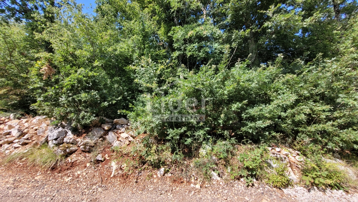 Zemljišče Rovinjsko Selo, 4359m2