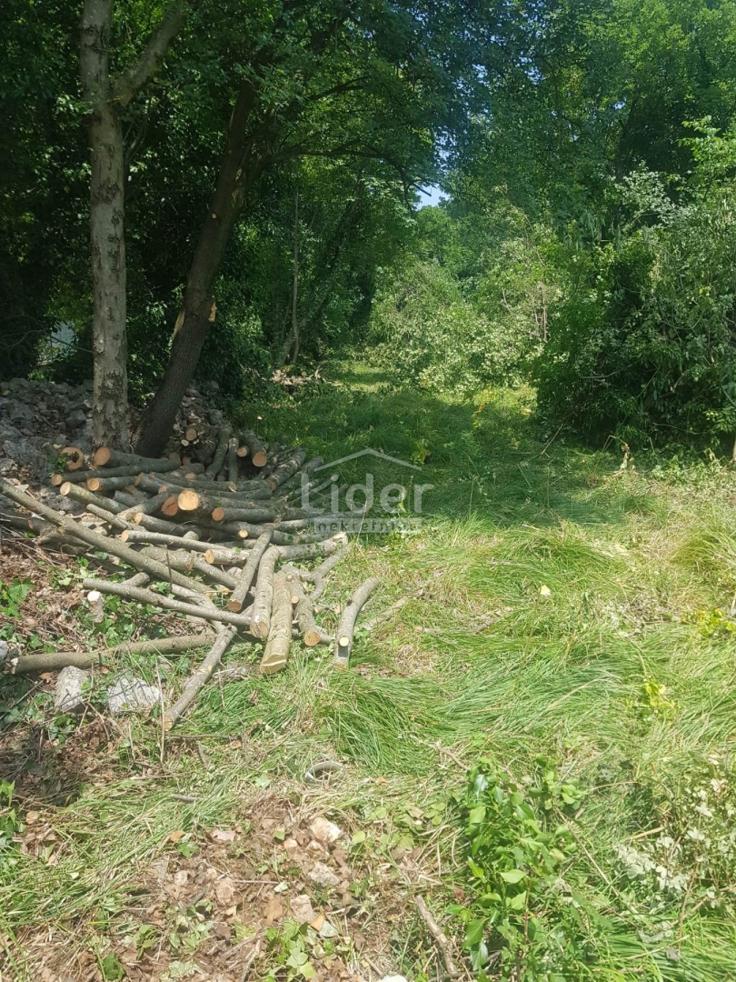 Zemljišče Kukuljanovo, 994m2