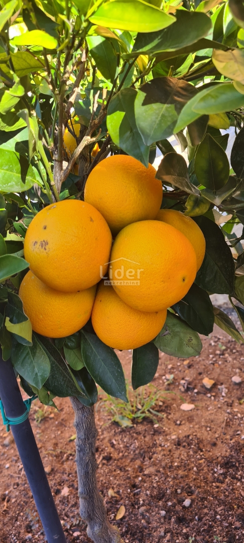 Hiša Kruševo, 220m2