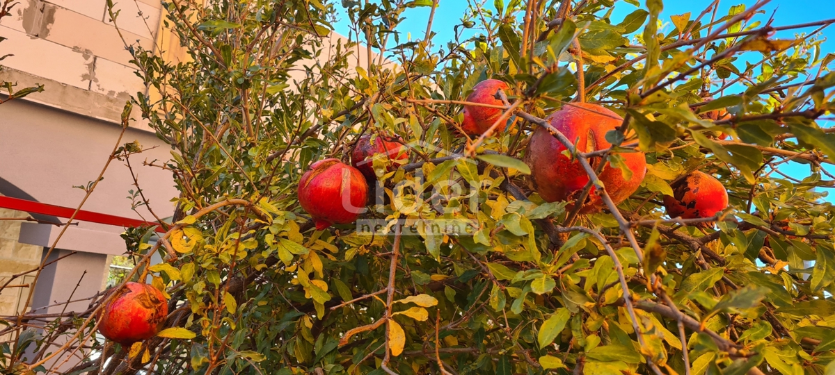 Hiša Kruševo, 220m2