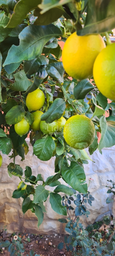 Hiša Kruševo, 220m2