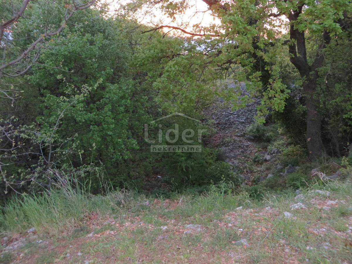 Zemljišče Paveki, 1438m2