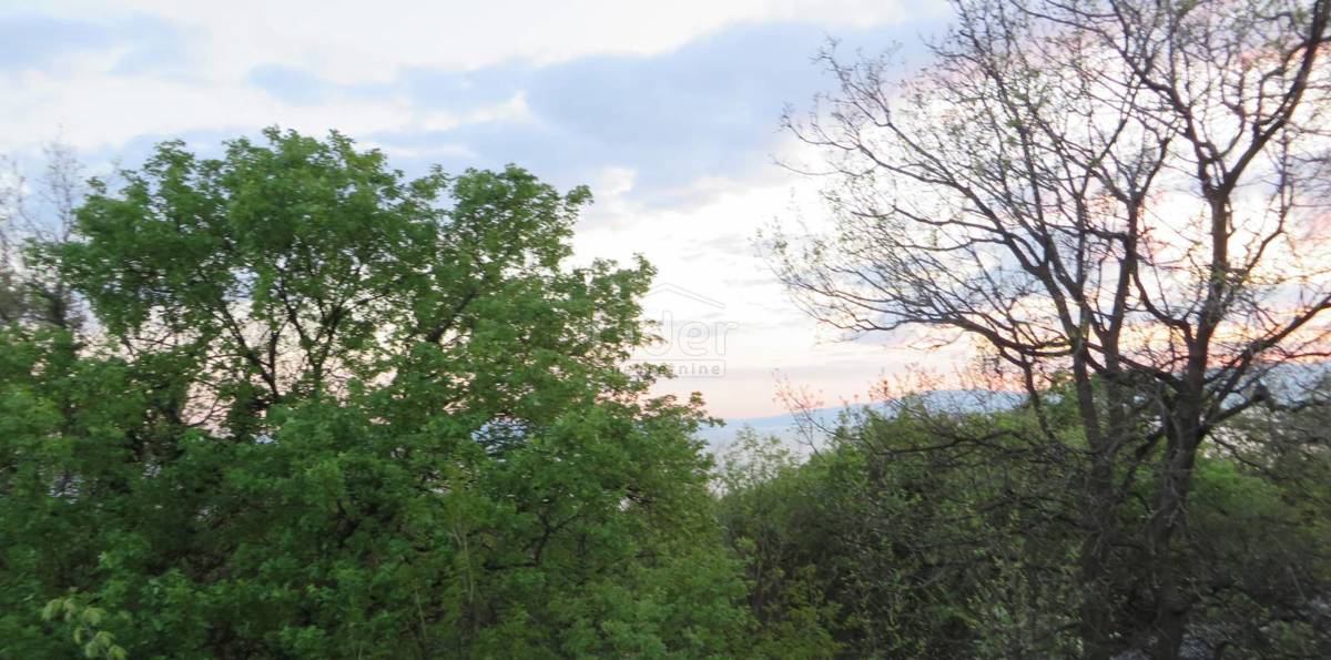 Zemljišče Paveki, 1438m2