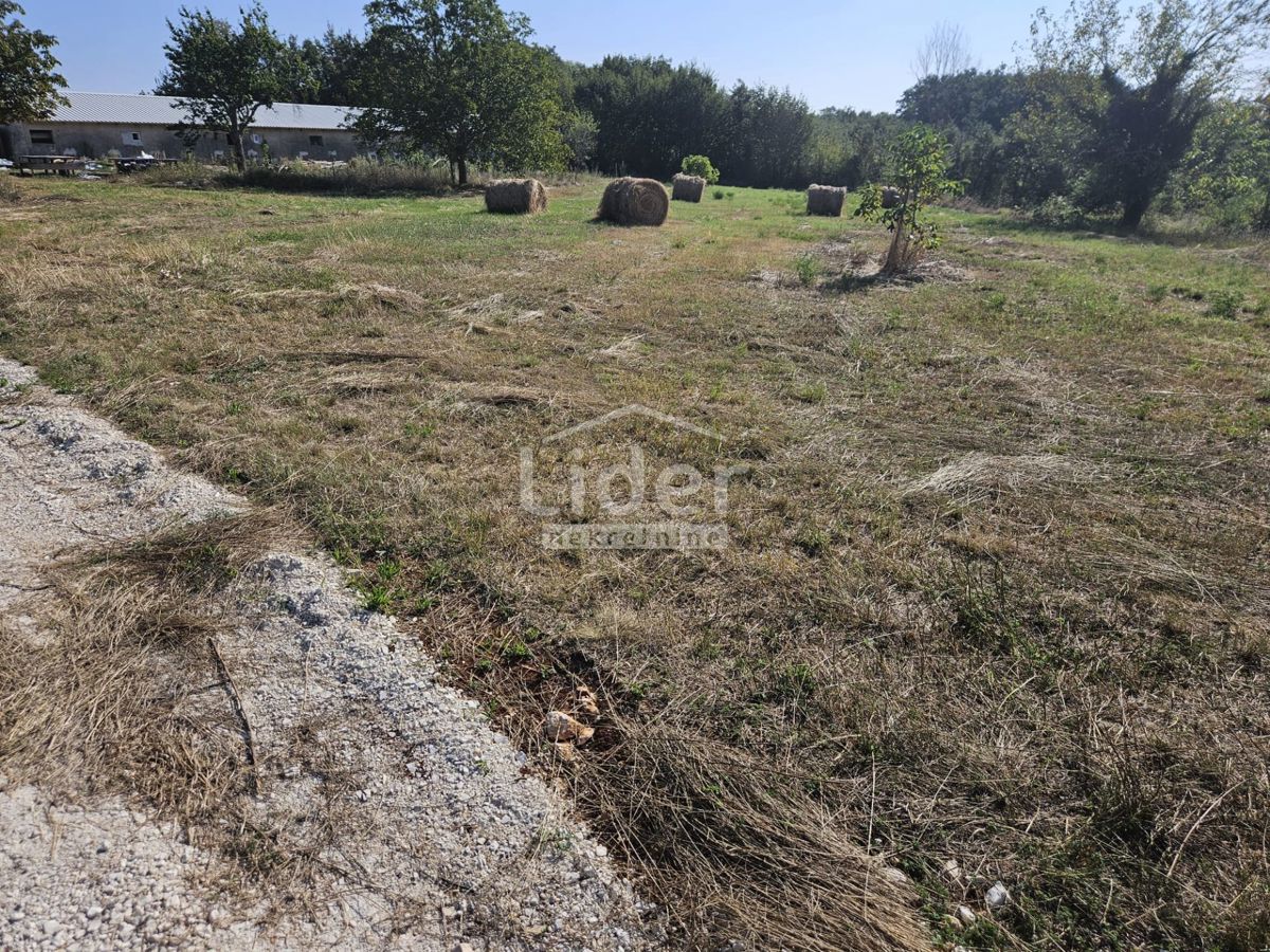 Zemljišče Žminj, 1246m2