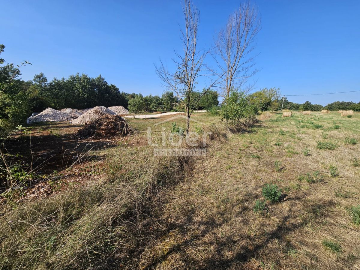 Zemljišče Žminj, 1246m2