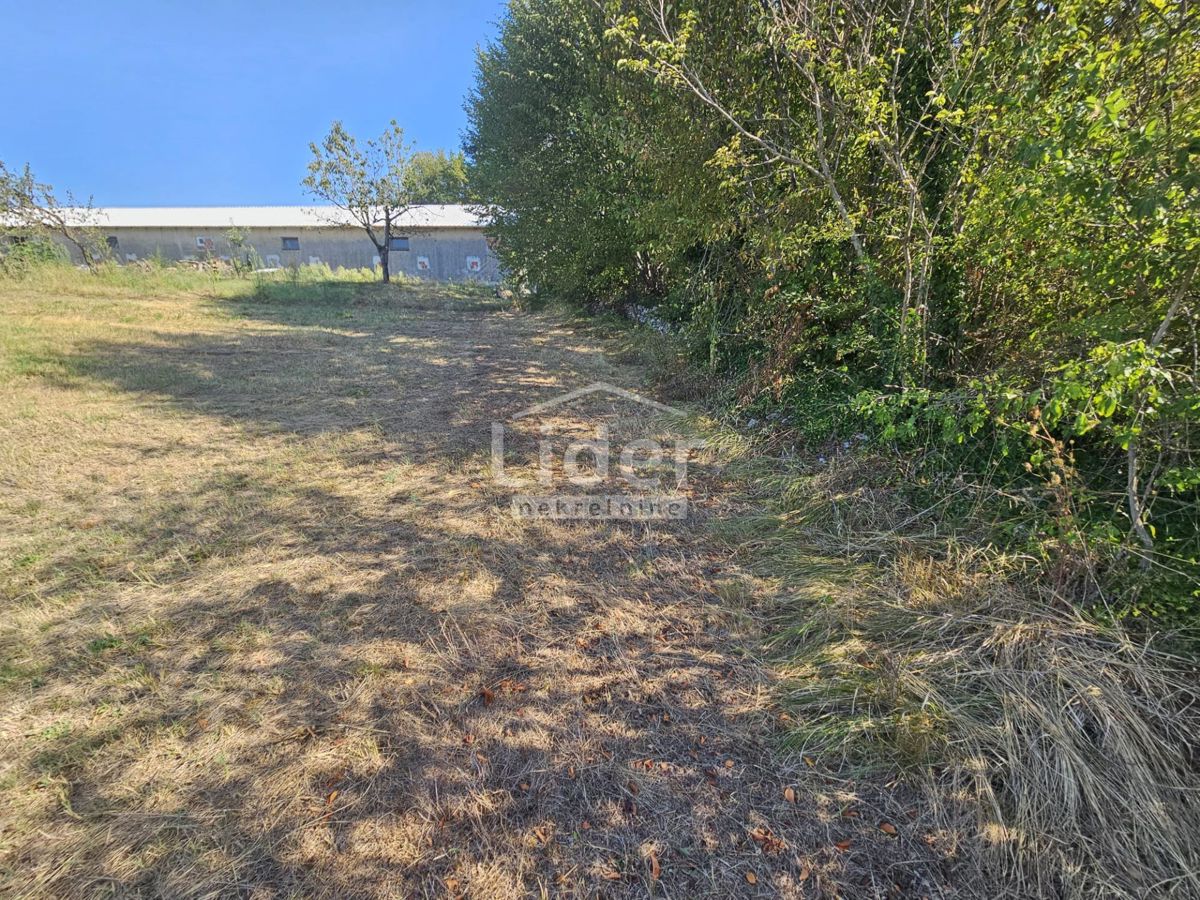 Zemljišče Žminj, 1246m2