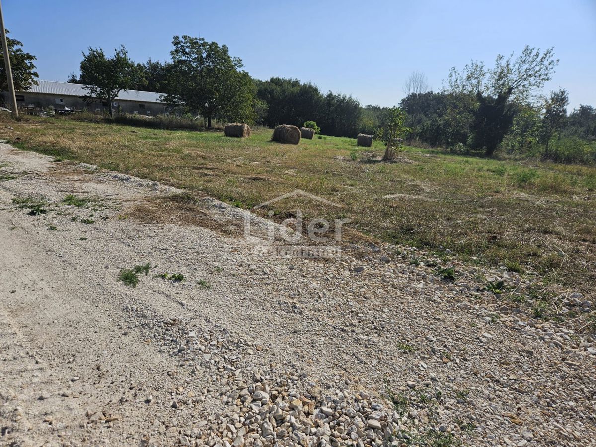 Zemljišče Žminj, 1246m2