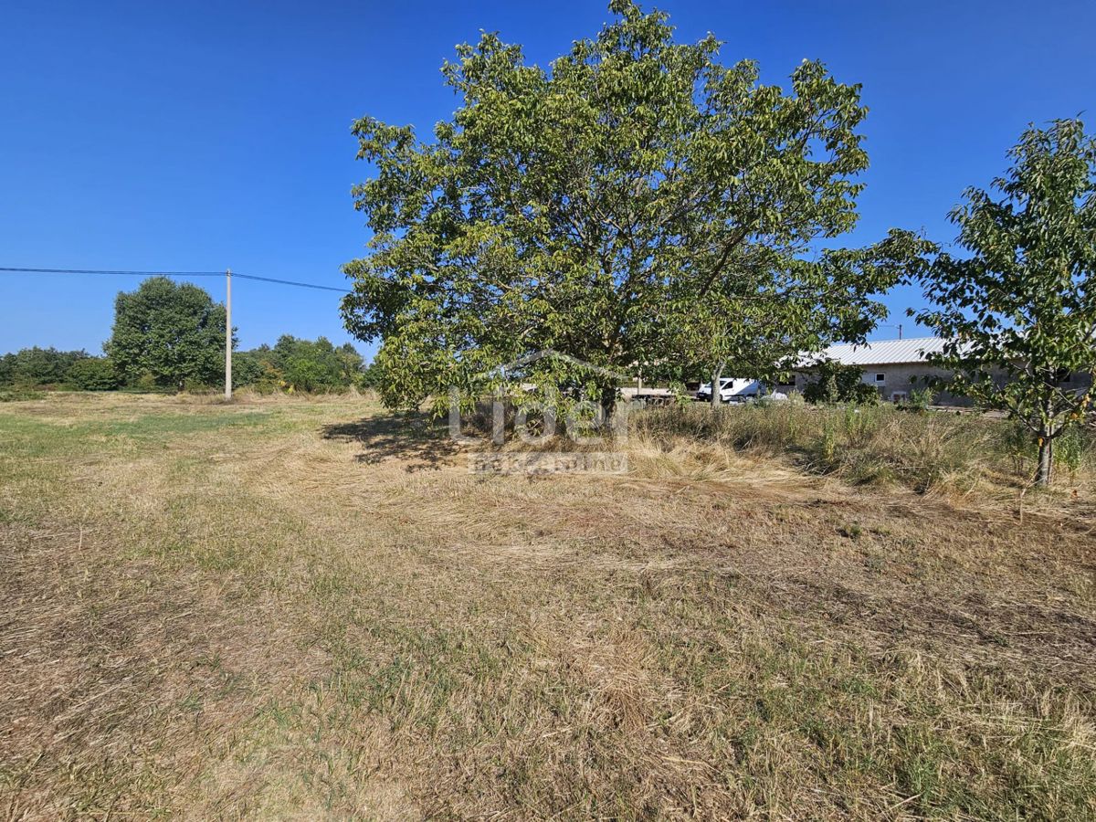 Zemljišče Žminj, 1246m2