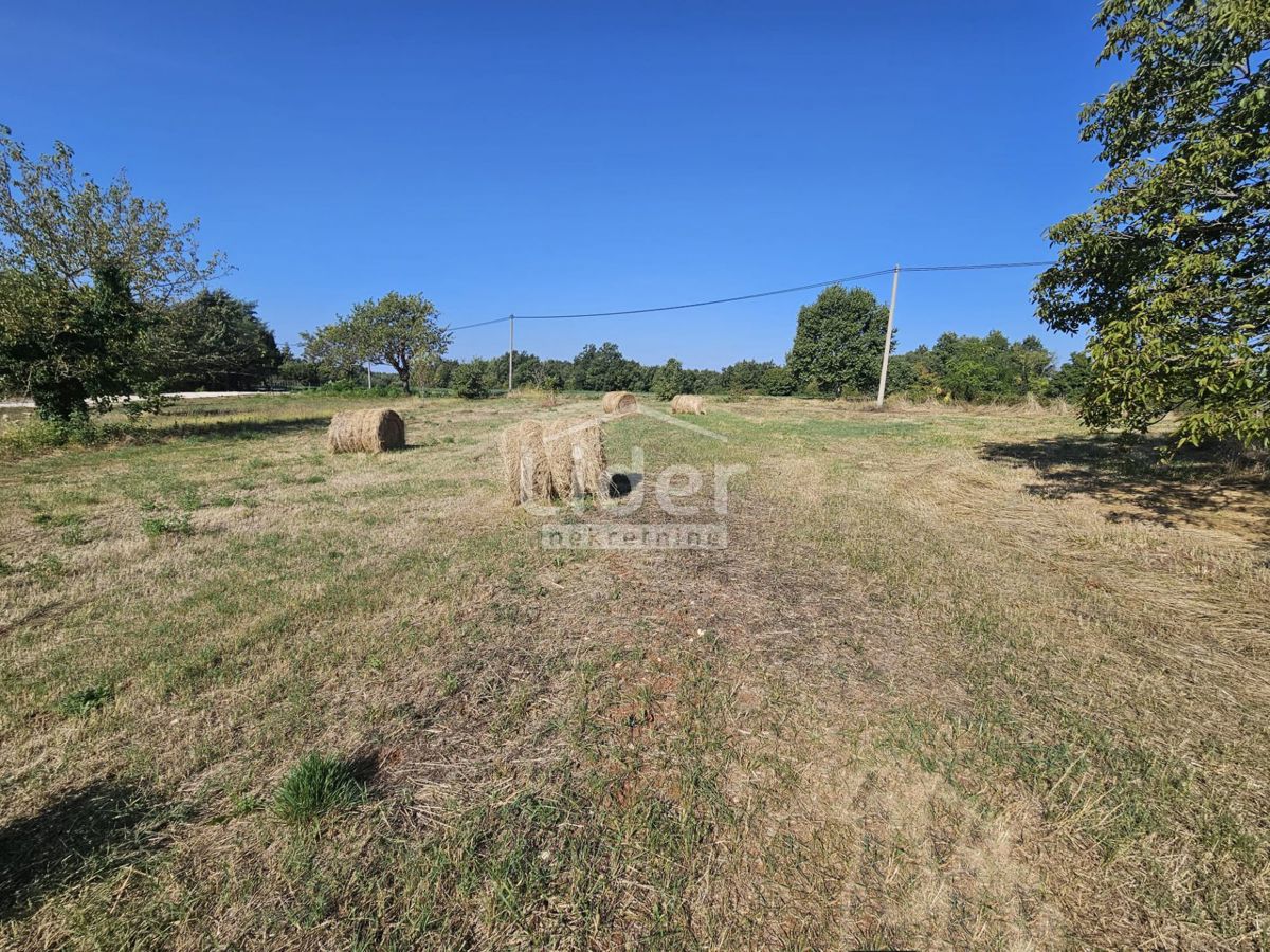 Zemljišče Žminj, 1246m2