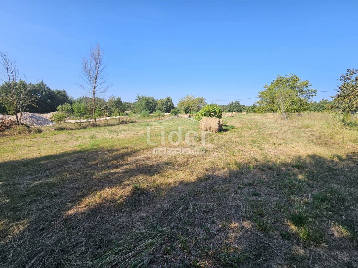 Zemljišče Žminj, 1246m2