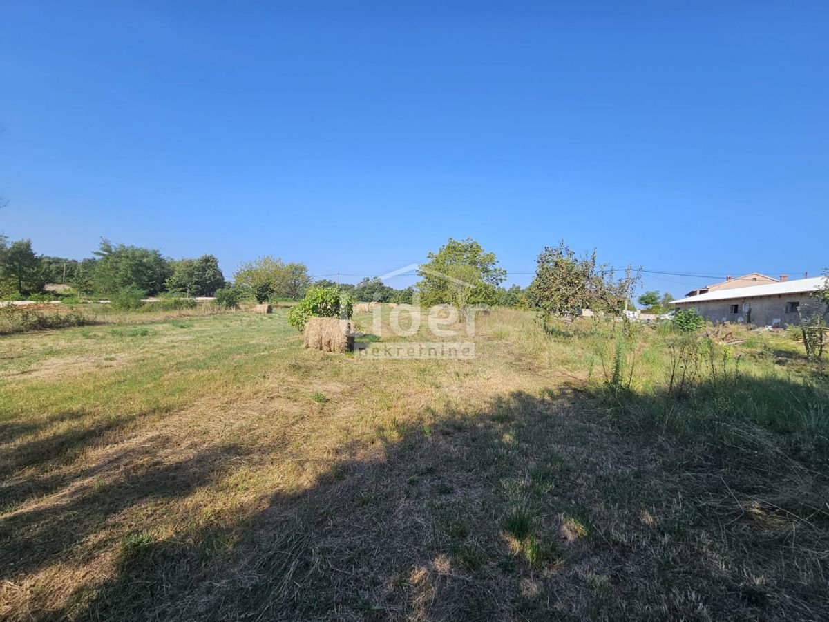 Zemljišče Žminj, 1246m2