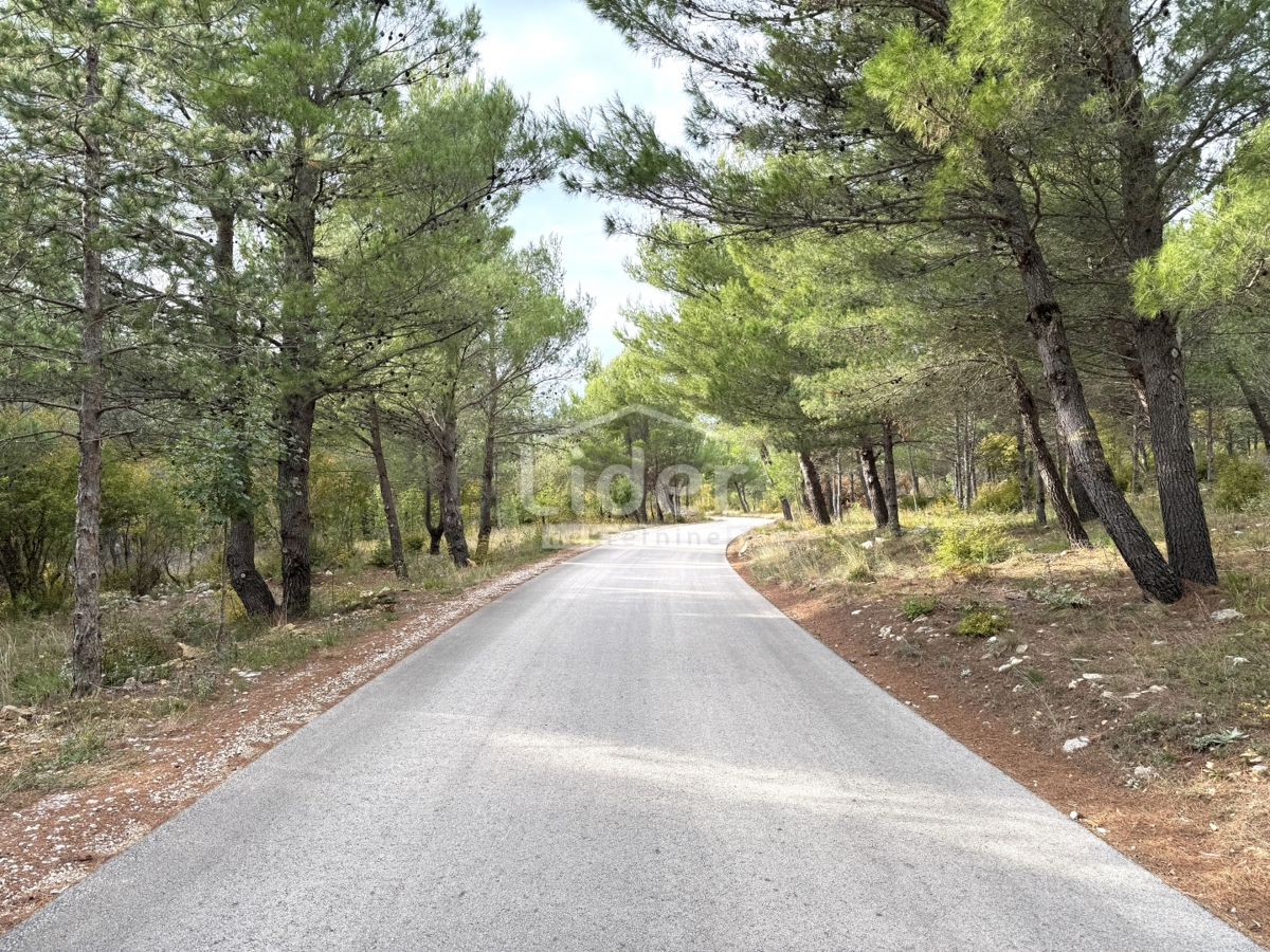 Hiša Kruševo, 259m2