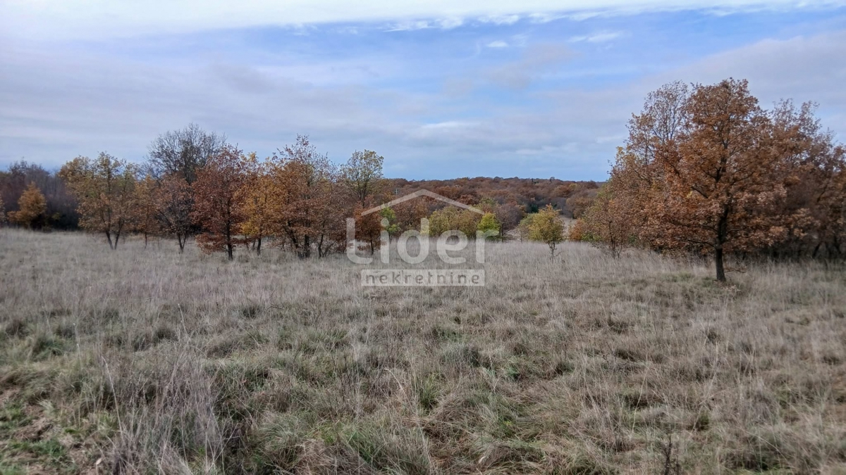 Zemljišče Mrgani, 47532m2